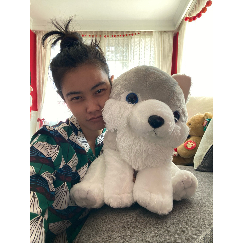 ตุ๊กตาน้องหมาไซบีเรียน แบรนด์ Amufun