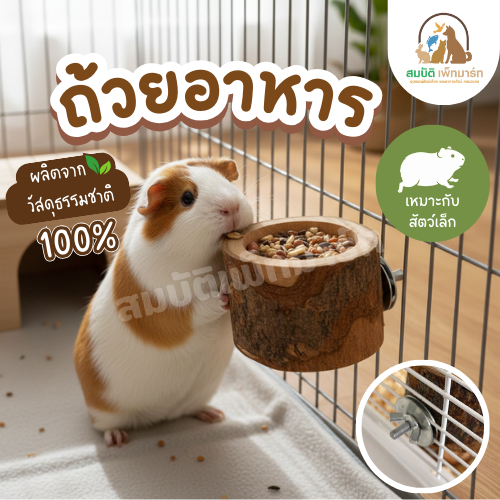 ถ้วยอาหารไม้ธรรมชาติ แฮมสเตอร์ หนู กระต่ายเล็ก นกขนาดเล็ก ติดกรงได้