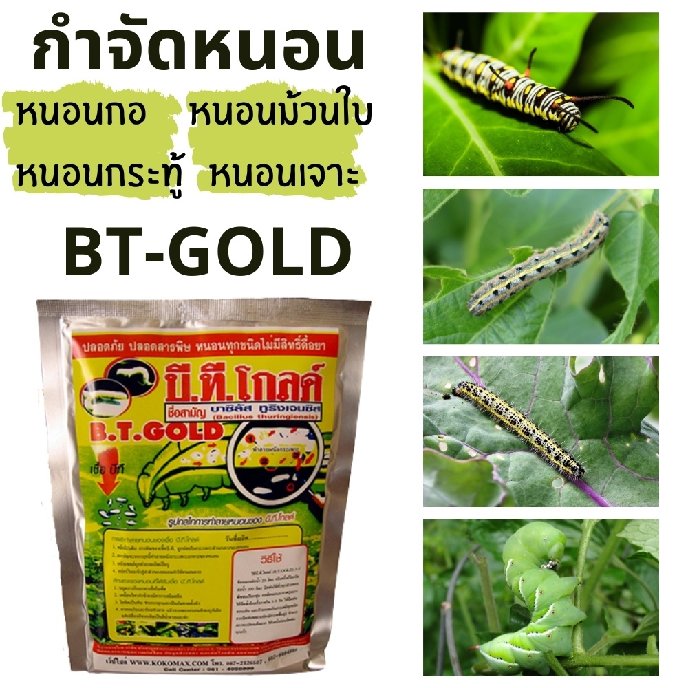 กำจัดหนอน อย่างดี ชีวภัณฑ์ บีทีโกลด์ BT GOLD กำจัดหนอนได้ทุกชนิด ซื้อ 5 แถม 1