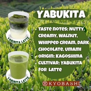 KYOBASHI - Yabukita for Latte MATCHA Green Tea Yabukita Singular Cultivar 50 gram ชาเขียว