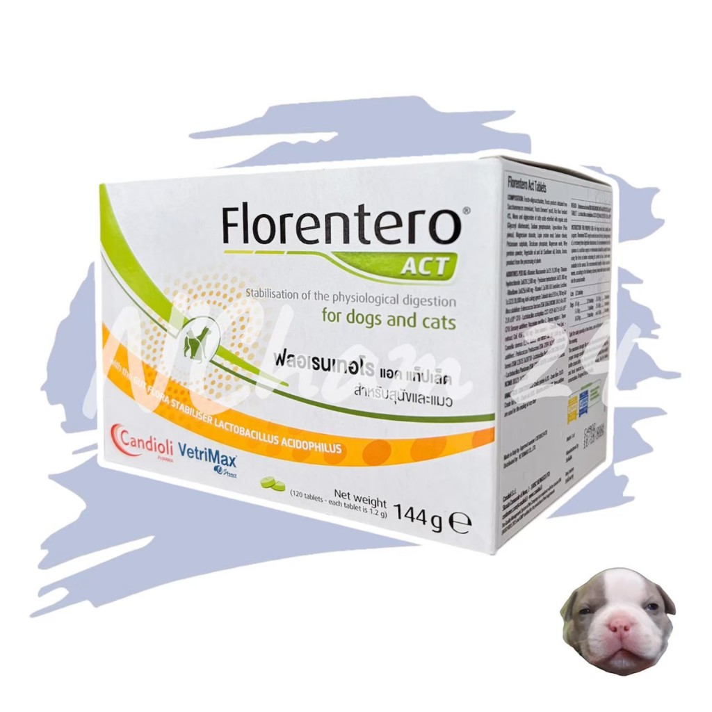 Florentero ACT บรรจุแผงละ 10 เม็ด Exp.12/2026 อาหารเสริมปรับสมดุลลำไส้ สำหรับสุนัข และแมว