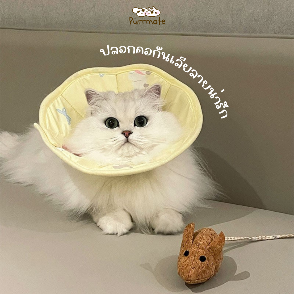 ปลอกคอกันเลียสัตว์เลี้ยงลายน่ารัก คอลล่าร์ รุ่นผ้านิ่ม (Collar) ปลอกคอแมว/หมา ป้องกันเลียแผล หลังผ่าตัด ฉีดวัคซีน