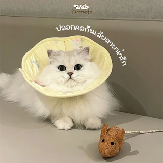 ปลอกคอกันเลียสัตว์เลี้ยงลายน่ารัก คอลล่าร์ รุ่นผ้านิ่ม (Collar) ปลอกคอแมว/หมา ป้องกันเลียแผล หลังผ่าตัด ฉีดวัคซีน