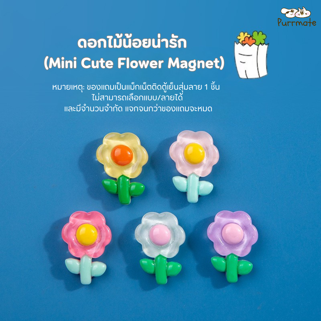 🎁 FREE RANDOM GIFT แม่เหล็กติดฐานวางชามแม่เหล็ก ลายน่ารัก คละลาย [ของแถมสุ่มไม่จำหน่าย]