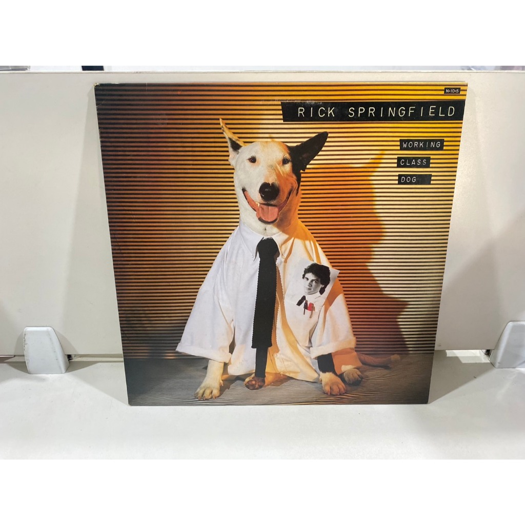 1LPVinyl Records แผ่นเสียงไวนิล  RICK SPRINGFIELD WORKING CLASS DOG (J4B143)