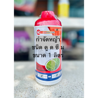 NC เอ็นซี ขนาด 1 ลิตร น้ำสีส้ม ดู   ด  ซึ   ม อย่างเดียว