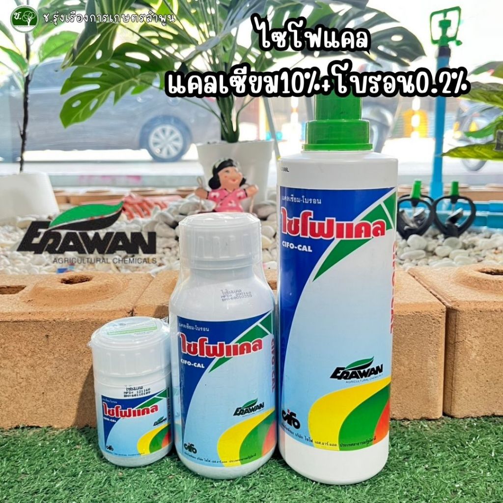 ไซโฟแคล สารสำคัญแคลเซียม10%+โบรอน0.2% (100 มล./500 มล./1 ลิตร) ธาตุอาหารรอง ธาตุอาหารเสริม