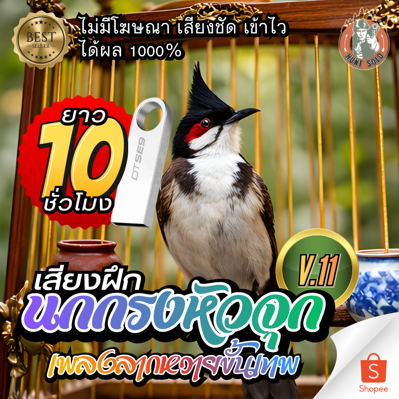 [10ชั่วโมง] เสียงฝึกนกกรงหัวจุกV.11 (ลากหวาย) ใส่แฟลชไดร์ฟ ชัดใส ไม่มีโฆษณา พร้อมส่ง เก็บเงินปลายทาง