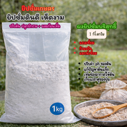 ยิปซั่มเกษตรบริสุทธิ์ 96% ขนาด 1 กิโลกรัม ปรับค่า pH และโครงสร้างดิน ลดดินเค็ม ช่วยรากพืช เหมาะกับงานสวนและก้อนเห็ด