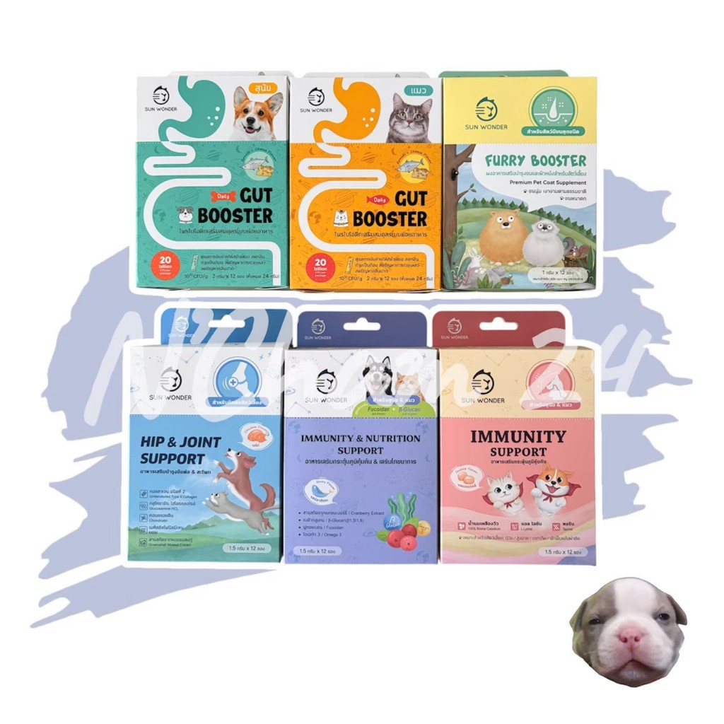 Gut Booster by Sun Wonder บรรจุ 12 ซอง โพรไบโอติกสำหรับสุนัขและแมว ปรับสมดุลลำไส้