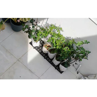 Lalamover แผ่นปูพื้นพลาสติก [10 แผ่น] ขนาด 30x100x3.4cm (รุ่นใหม่ปรับปรุง) ปูป้องกันแผลสัตว์เลี้ยง