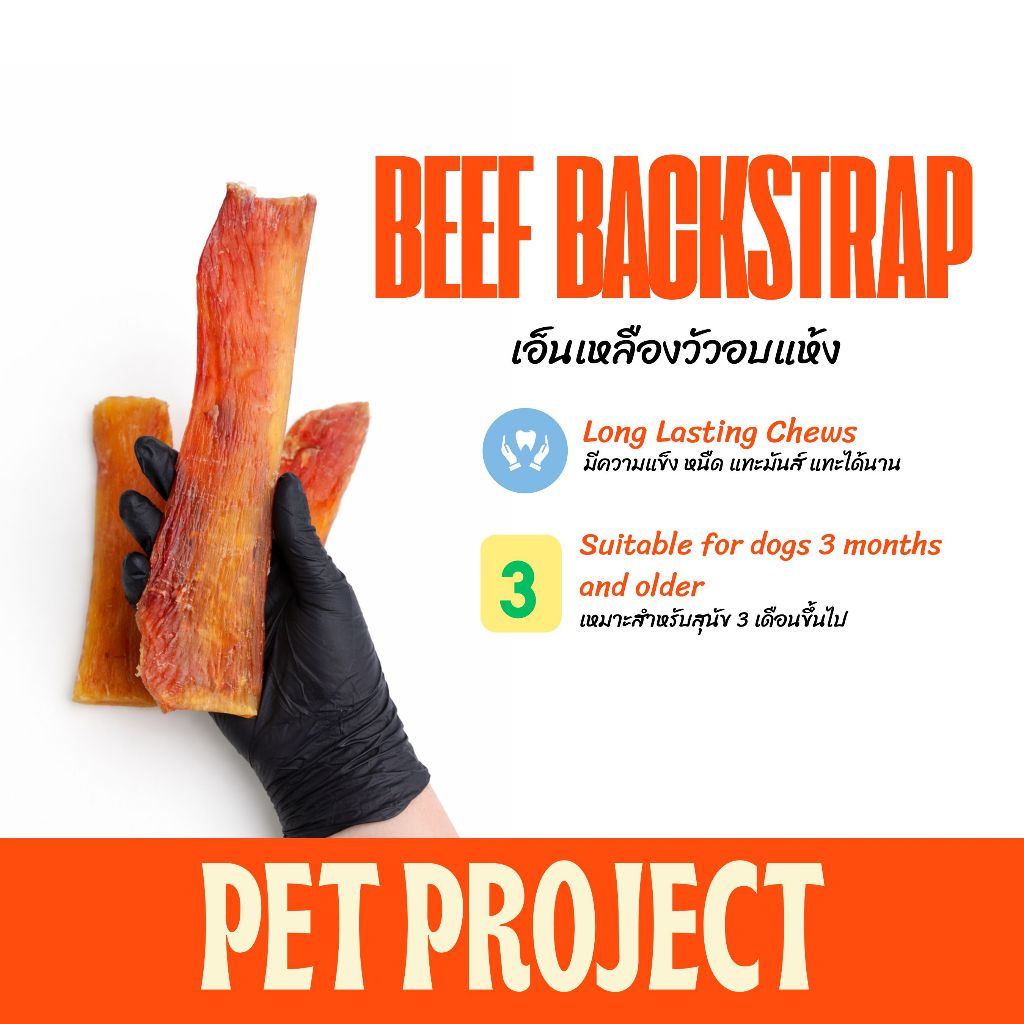 Pet Project Beef Backstrap เอ็นวัวอบแห้ง ขนมแทะสำหรับสุนัข ไม่มีสารปรุงแต่ง จากธรรมชาติ 100%