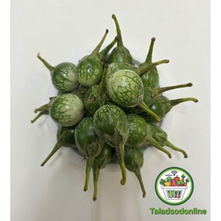 มะเขือลาย สด สะอาด รับประกันคุณภาพ