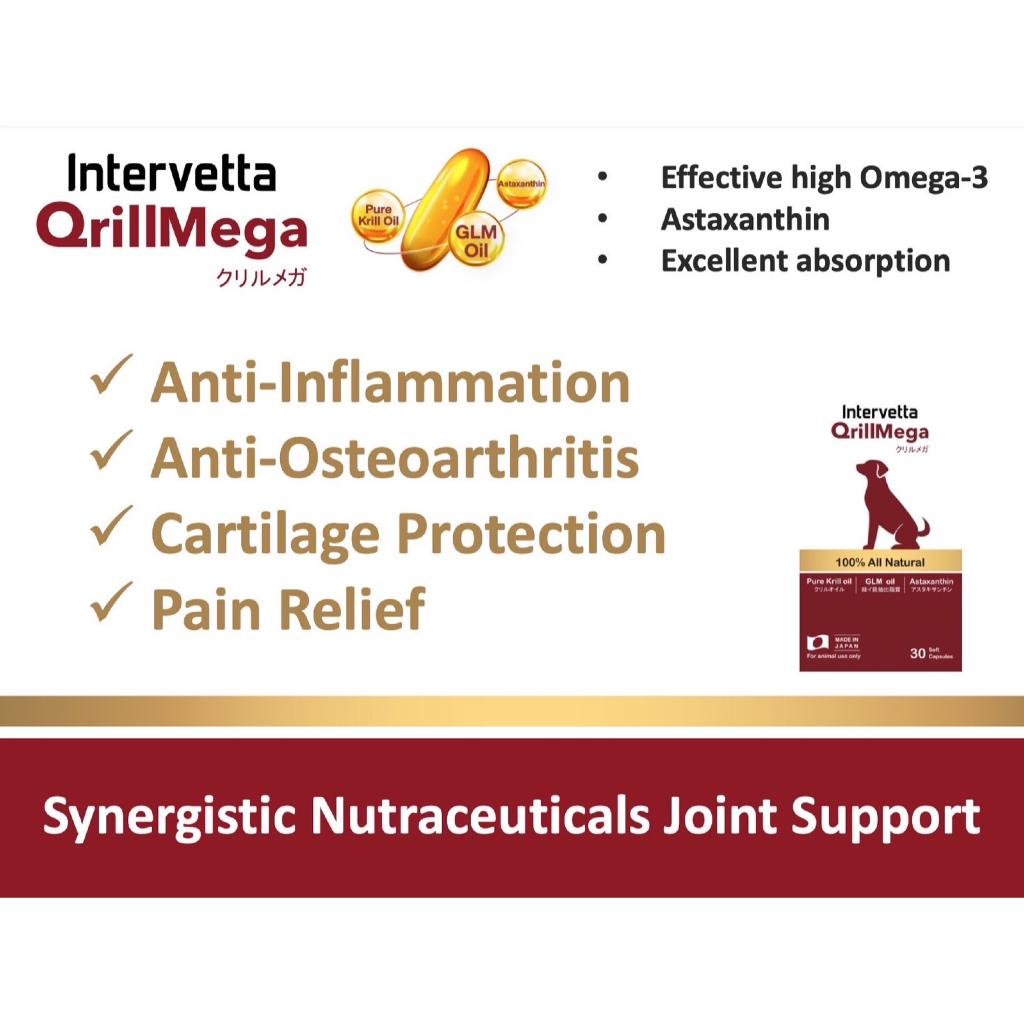 Intervetta QrillMega (คริลเมก้า) อาหารเสริมบำรุงข้อต่อ ลดอักเสบ บรรเทาปวด สำหรับสุนัขและแมว แบ่งแผง-ยกกล่อง ราคา ถูกที่สุด ดีลบีเคเค แกลเลอรีภาพที่ 3