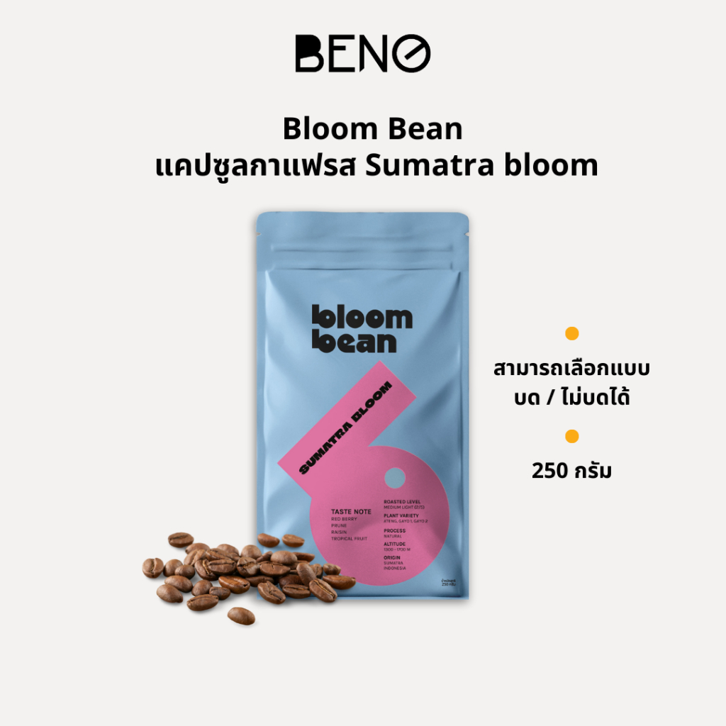 เมล็ดกาแฟคั่ว Sumatra Bloom คัดสรรจากสายพันธุ์ ATENG, GAYO 1 และ GAYO 2