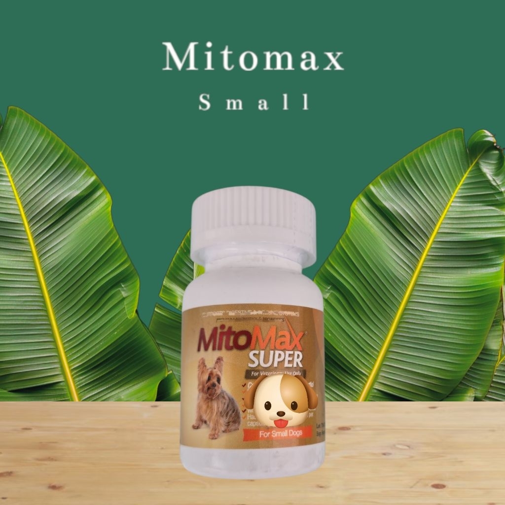 🦮 Mitomax small (30 แคปซูล)