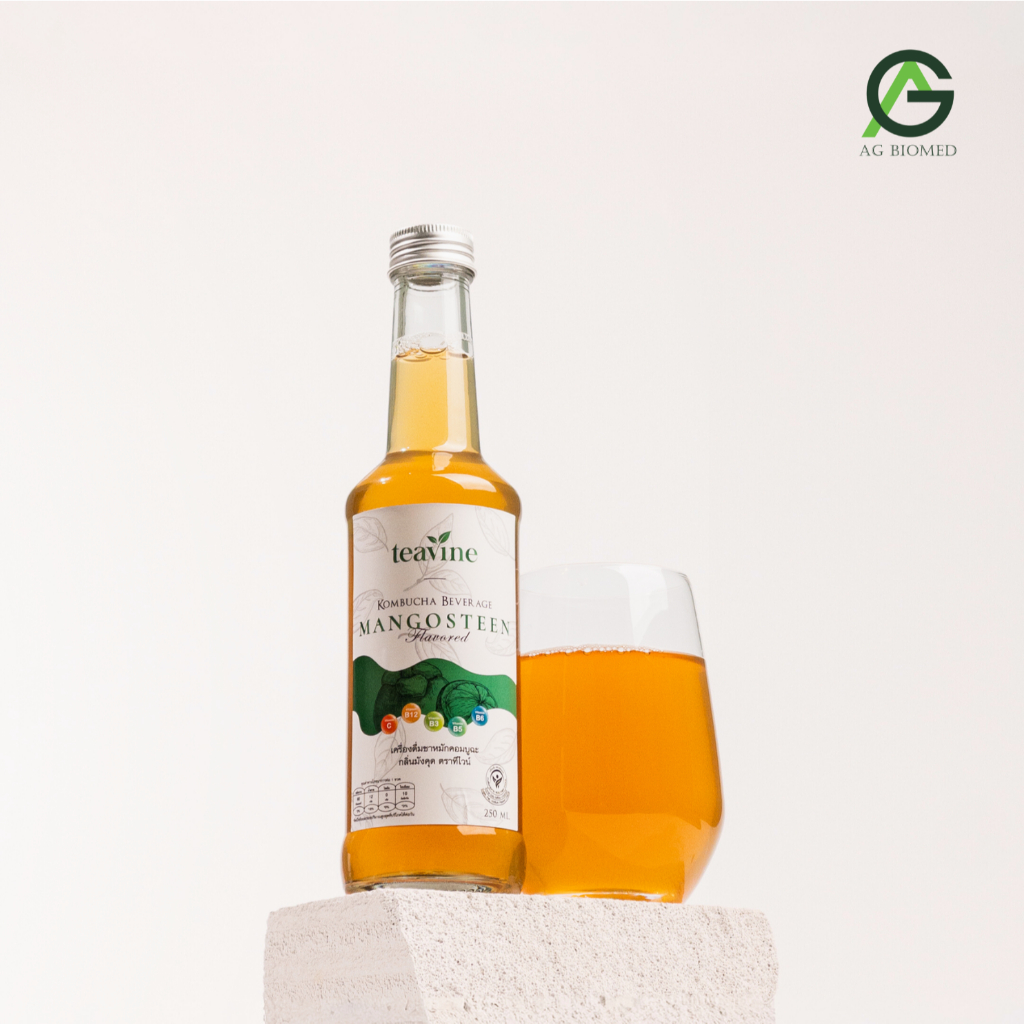 Kombucha Beverage Mangosteen Teavine Brand