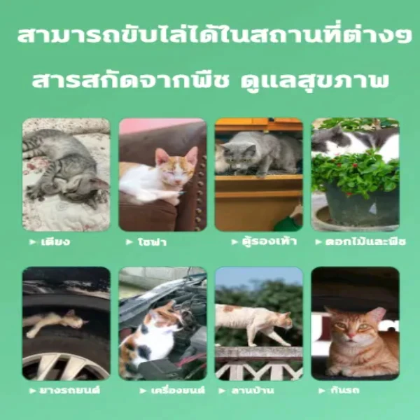 สเปรย์ไล่แมว ไล่หมา ป้องกันสัตว์ขับถ่าย Cat Repellent thumbnail 7