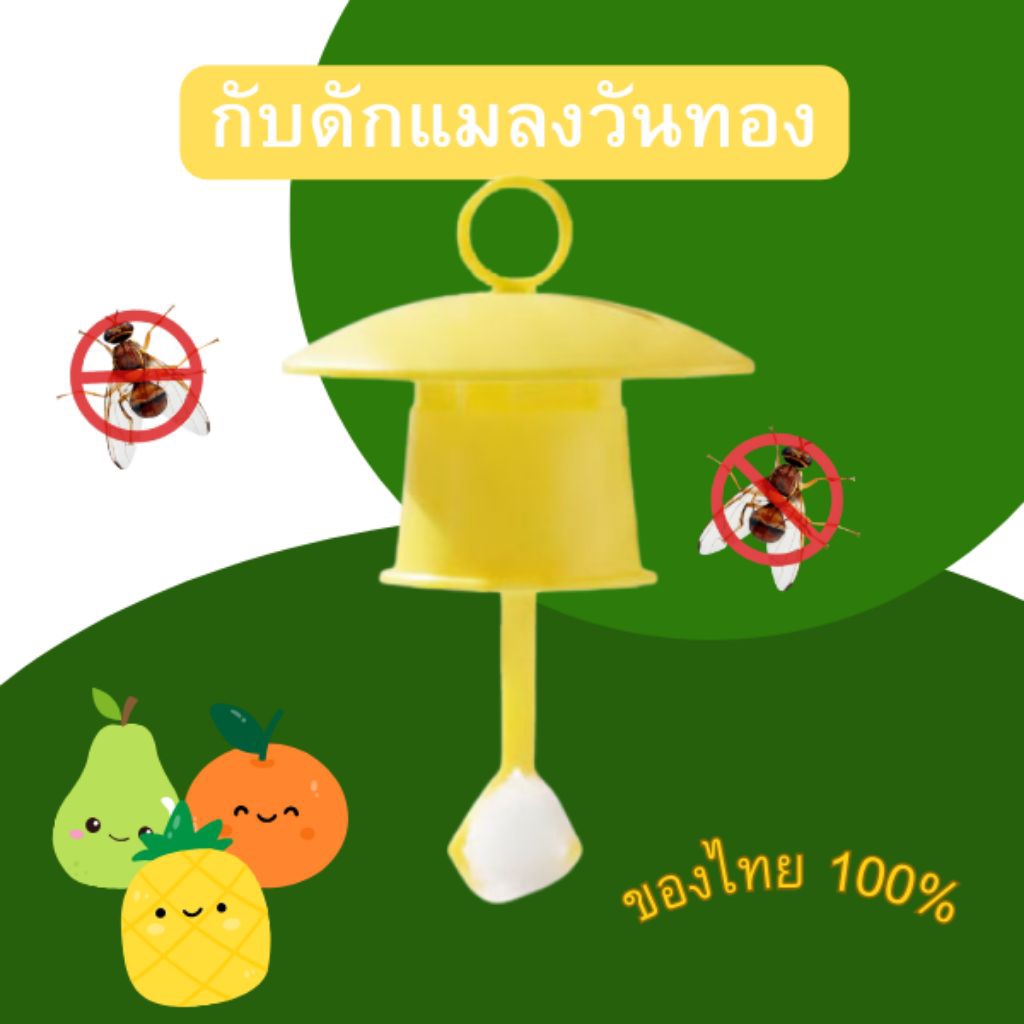 (10 ชิ้น) กับดักแมลงวันทอง แมลงวันทองผลไม้ เมทิลยูจินอล