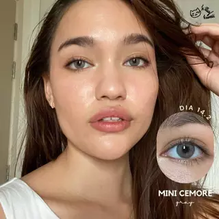 Kitty Kawaii Contact Lens : Mini Cemore Gray (Blister pack) - คอนแทคเลนส์รายเดือน
