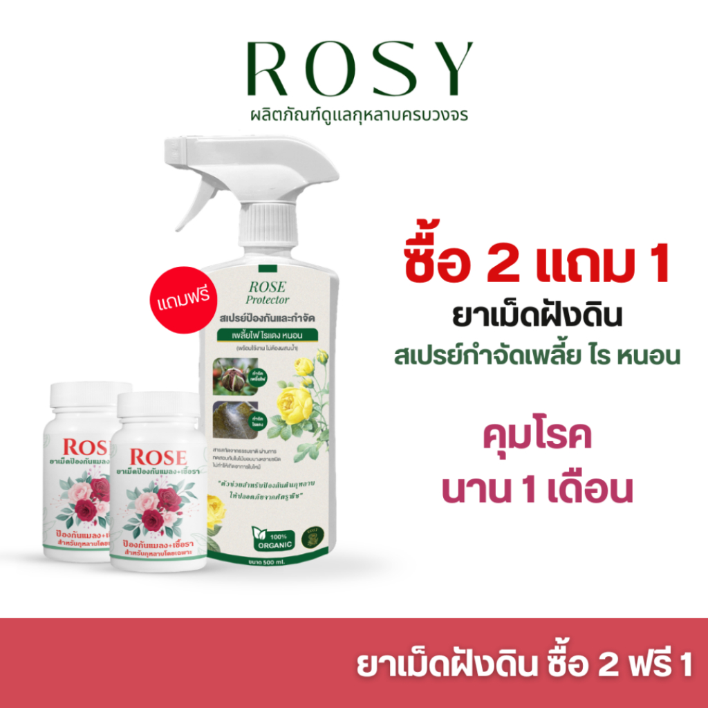 Rosy ยาเม็ดฝังดิน [ 2 กระปุก แถมฟรี สเปรย์เพลี้ยเขียว ] คุมโรคและแมลงนาน 1 เดือน เสริมภูมิต้านทานต่อโรคและแมลง