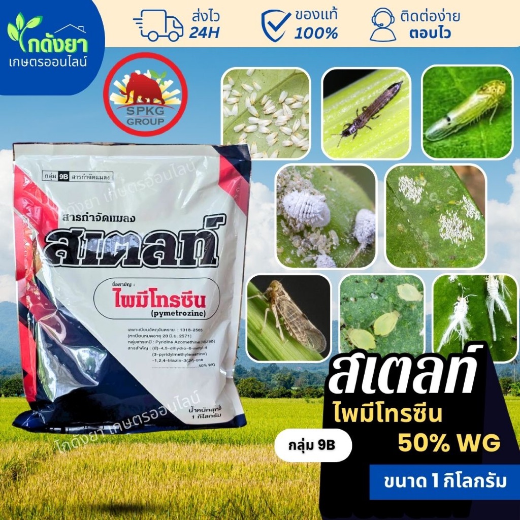 สเตลท์ 1kg ไพมีโทรซีน 3พลัง กำจัดเพลี้ยอยู่หมัด ตราแมมมอธแดง SPKG