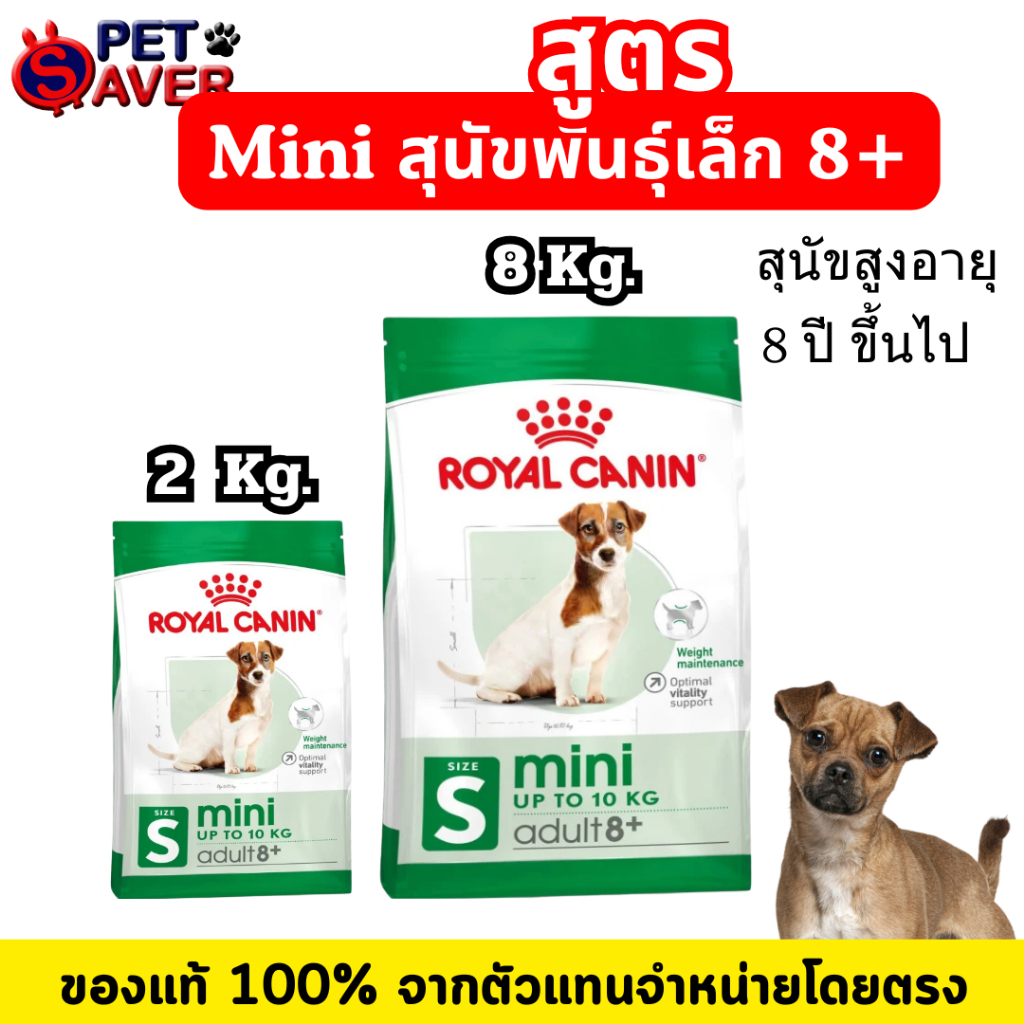 Royal Canin Mini Adult mature 8+ 2kg / 8kg สำหรับสุนัขแก่ พันธุ์เล็ก 8ปีขึ้นไป senior 2 kg / 8kg.