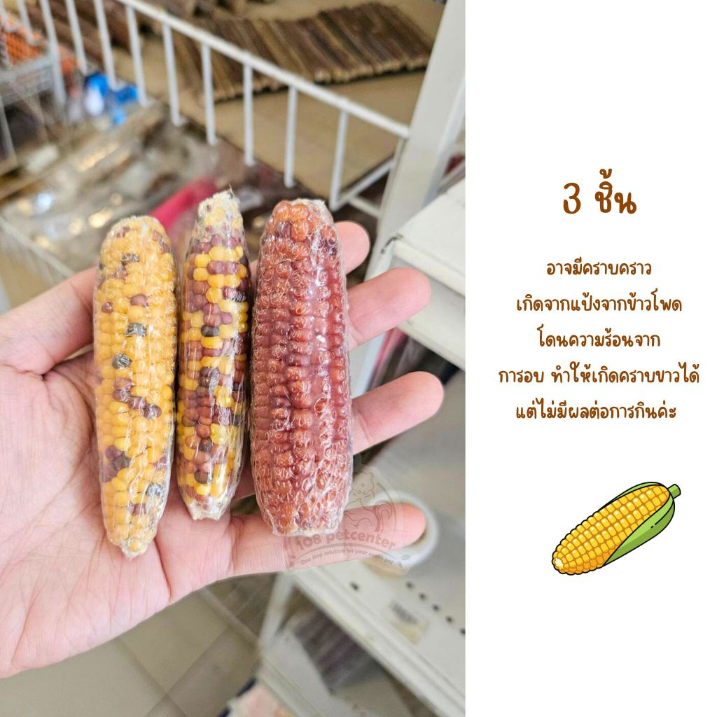 ขนมหนูแฮมสเตอร์ ชูก้าร์ไกลเดอร์ กระรอก ขนมข้าวโพดลับฟัน ของแทะเล่นสัตว์เล็ก ราคา ถูกที่สุด ดีลบีเคเค แกลเลอรีภาพที่ 6