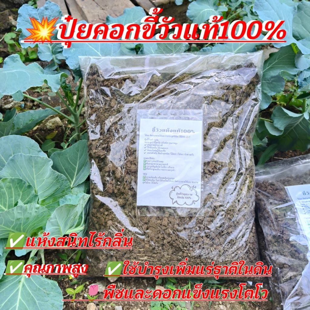 ปุ๋ยคอกขี้วัวแท้100%คุณภาพสูงแห้งสนิทไร้กลิ่นปลอดภัยใส่พืชผักได้ทุกชนิด10ถุงแถม2