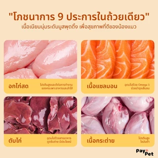 "10,40 ซอง" อาหารเปียกแมว R9 (60g/ซอง)