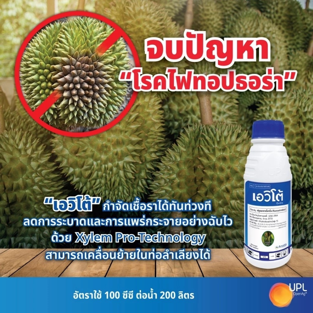 เอวิโต้ 500 ซีซี (เนื้อยาพรีเมี่ยมจากอินเดีย)(ฟลูออกซาสโตรบิน 48% SC )  สินค้าผลิตใหม่ ของแท้แน่นอน💯