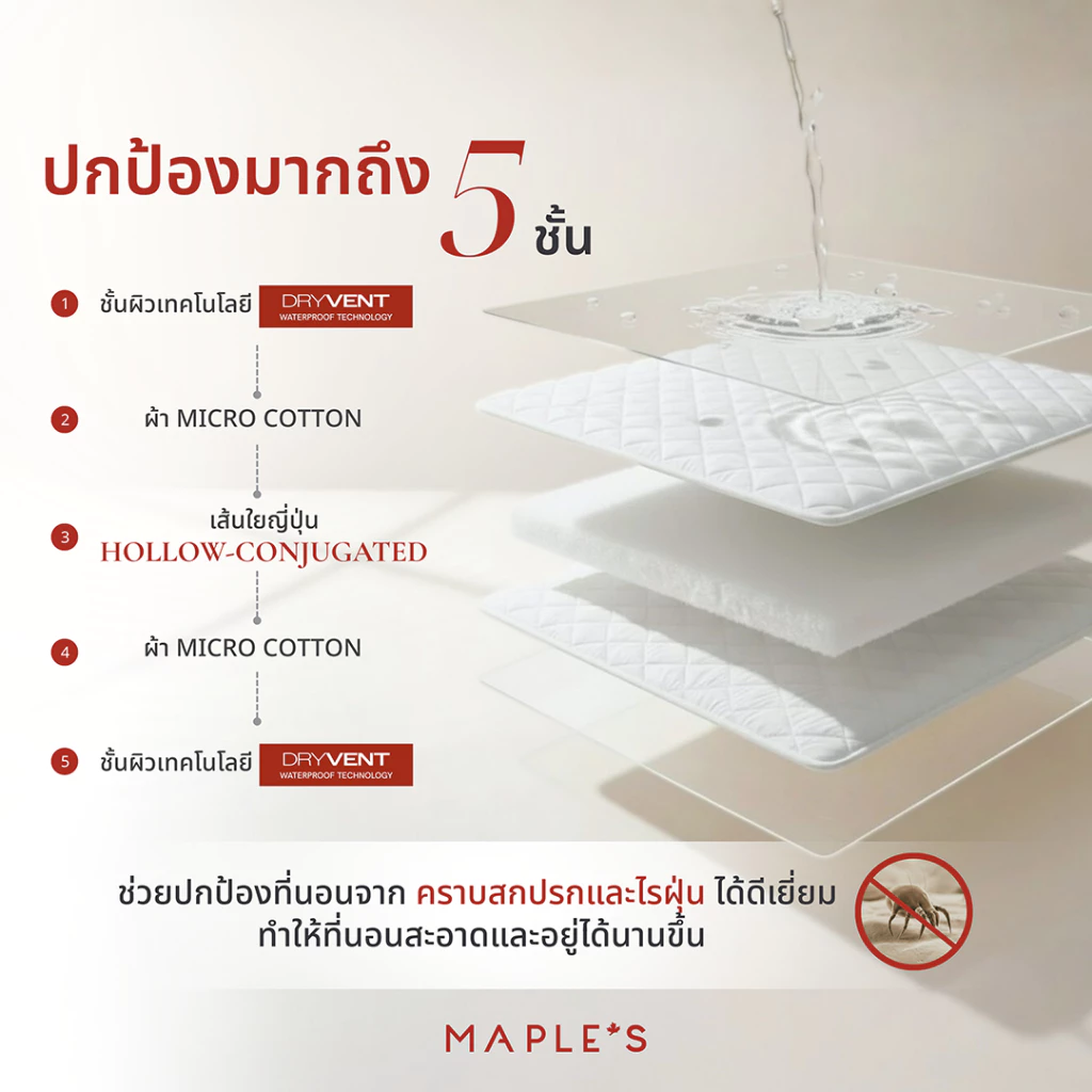 MAPLE S ผ้ารองกันเปื้อนรัดมุม กันน้ำกันรา Mattress Protector thumbnail 6