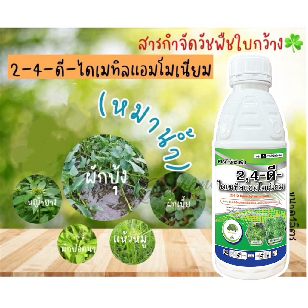 🌱(หมาน้ำ)2-4-ดี  กำจัดหญ้าใบกว้าง ฆ่า ผักบุ้ง ผักปอด แห้วหมู โสน #หมาน้ำ #หมาแดงน้ำ