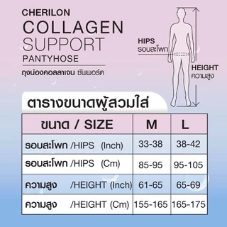 CHERILON ถุงน่อง 30D ปิดเส้นเลือดขอดระยะเริ่มต้น คอลลาเจนซัพพอร์ต เต็มตัว ขาเรียวเนียน กระชับ ไม่รันง่าย CLL-PHCG01