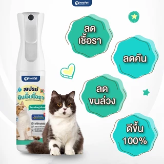 สเปรย์ยับยั้งเชื้อราแมว InnoPet จัดการเชื้อราน้องแมวได้ในขั้นตอนเดียว ลดคัน ลดขนร่วง อ่อนโยน ปลอดภัย ไม่แต่งสีและกลิ่น