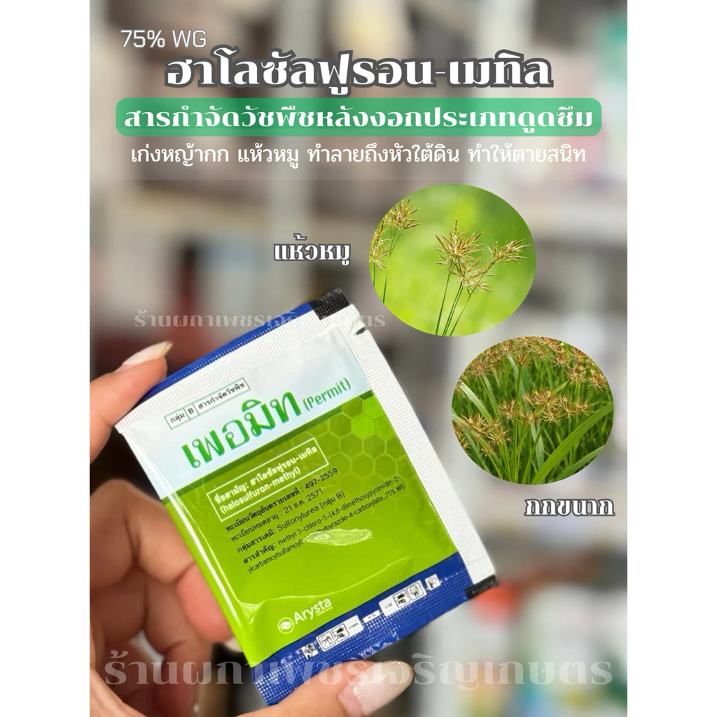 เพอมิท (4 กรัม) สารกำจัดวัชพืชประเภทกก โดยเฉพาะ หญ้าแห้วหมู ใช้กำจัดวัชพืชในอ้อย มันสำปะหลัง นาข้าว และสนามหญ้า