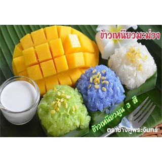 [14 กก.] ข้าวเหนียวเขี้ยวงูเก่า100%ตราช้างคู่พระจันทร์ จังหวัดเชียงราย ขาว หอมนุ่มนิ่มนาน อุ่นซ้ำไม่แข็งกระด้าง#ส่งฟรี