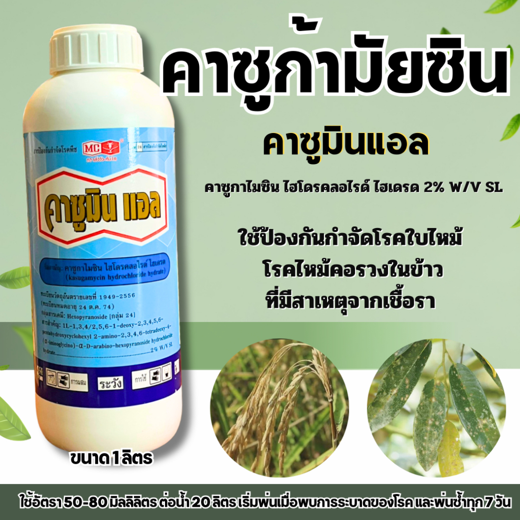 คาซูมินแอล 1ลิตร หัววัวคันไถ คาซูก้าไมซิน คาซูกาไมซิน คาซู่ เชื้อราใบไหม้