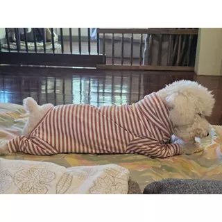 ชุดเก็บขน wonder dog เสื้อสุนัข เสื้อแมว ชุดกันขนร่วงสุนัข ชุดสัตว์เลี้ยง โทนสีแดง