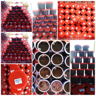 มันกุ้งแม่ติ๋ว พร้อมส่ง ของปากพนัง