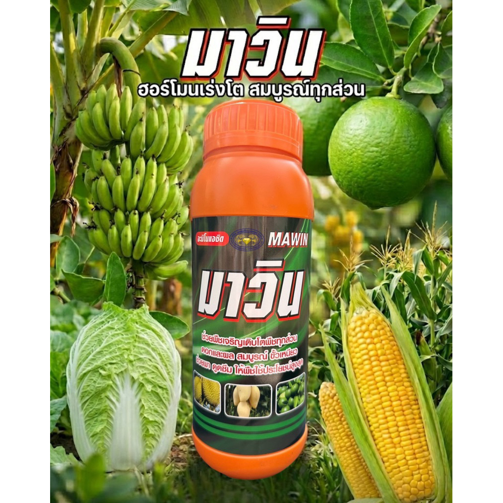 มาวิน 1Lเร่งโตทุกส่วน น้ำหนักดี รสชาติดีสีสด