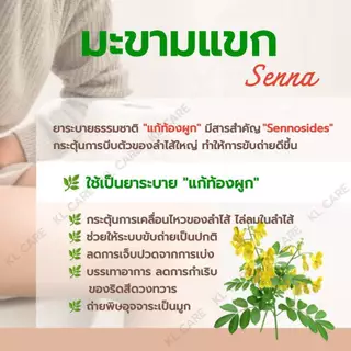 ยาระบาย มะขามแขก แก้ ท้องผูก ริดสีดวงทวาร ธันยพรสมุนไพร Senna 100 แคปซูล ของแท้100%