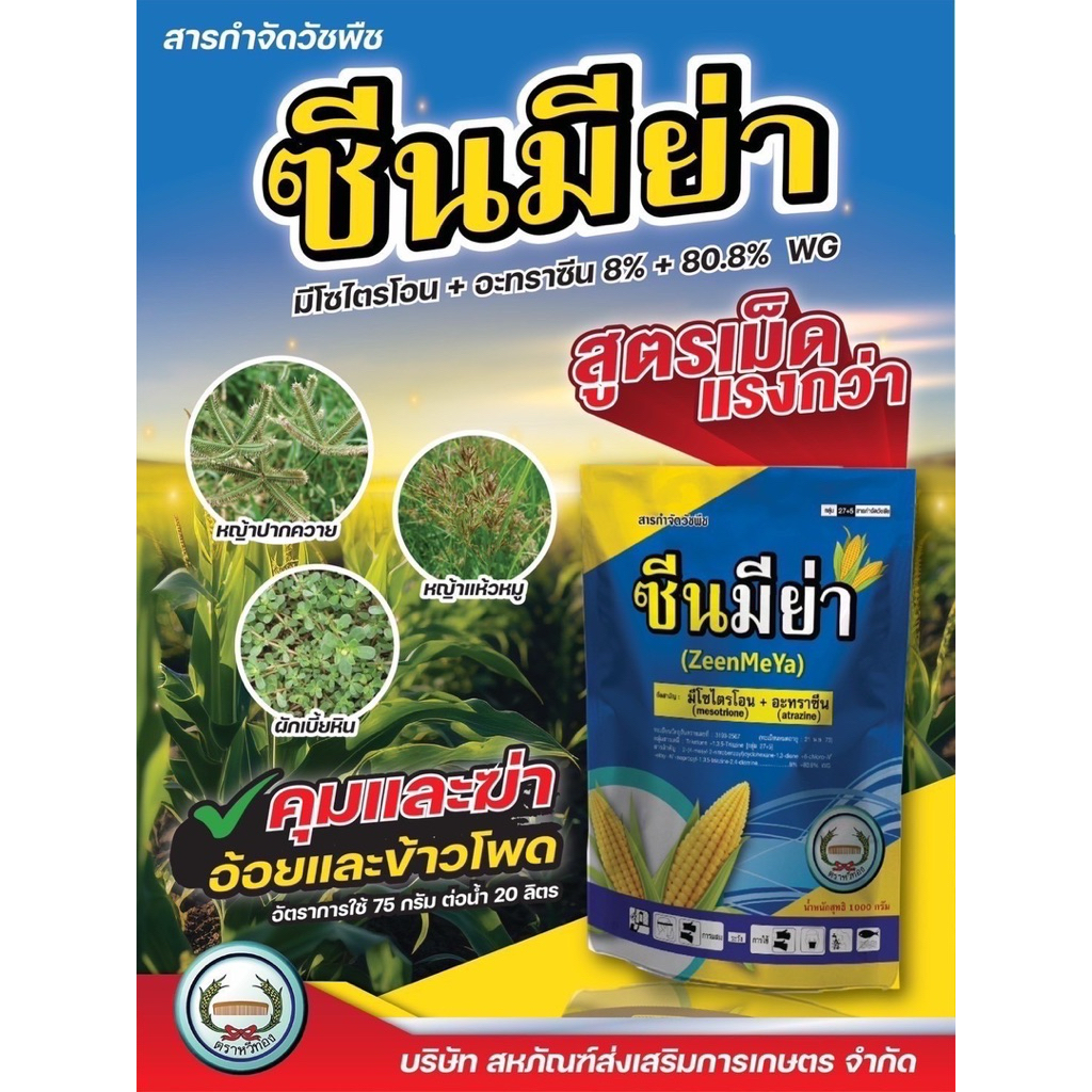 ซีนมีย่า (มีโซไตรโอน+อะทราซีน) คุมและฆ่าหญ้าในอ้อย และข้าวโพด 1กก