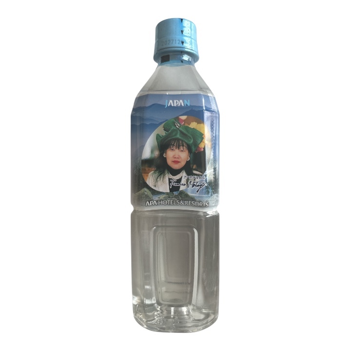 APA Hotel Official Mineral Water Fujikawa Headwaters Natural Water 500ml × 1 bottle