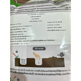 เมล็ดพันธุ์ผักชี หยาดทิพย์ เจียไต๋ ขนาด 500 กรัม ( เมล็ดผักชี ผักชีป้อม ผักชีจีน ผักชีไทย ผักชีเลือด ผักชี เม็ดผักชี)