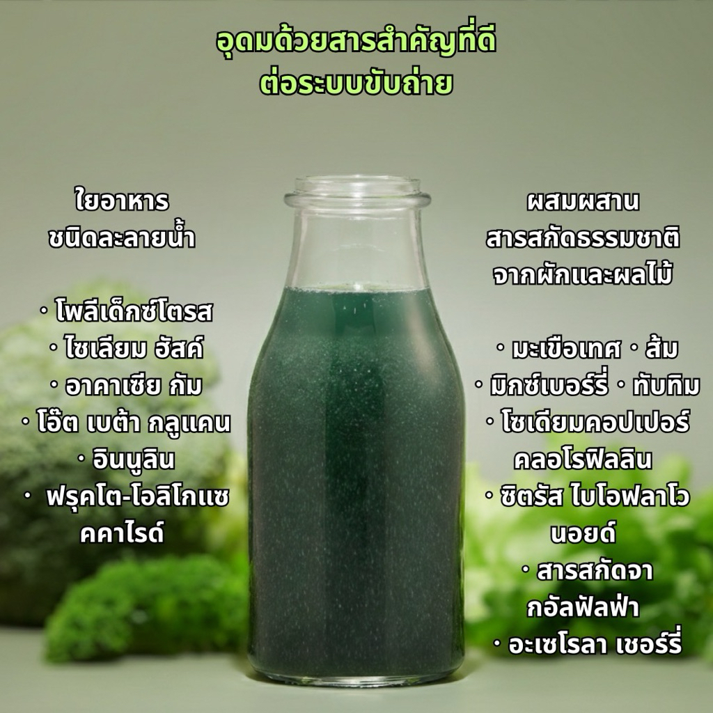 ไฟโต-ไฟเบอร์ ใยอาหาร รูปที่ 5