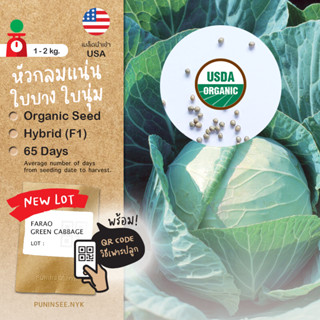 เมล็ดผักนำเข้า กะหล่ำปลี พันธุ์เบา Farao Green Cabbage (Orga…