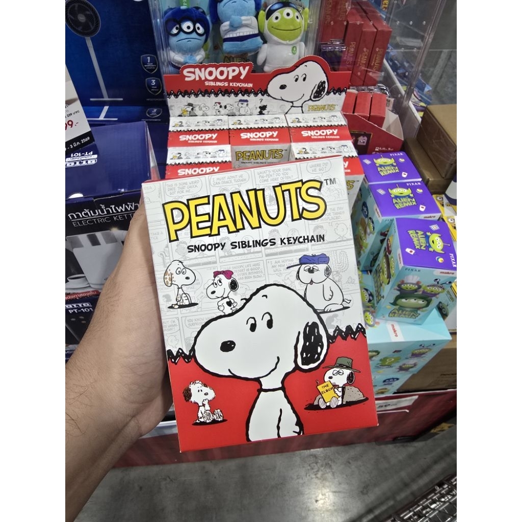พร้อมส่ง กล่องสุ่มพวงกุญแจ Snoopy