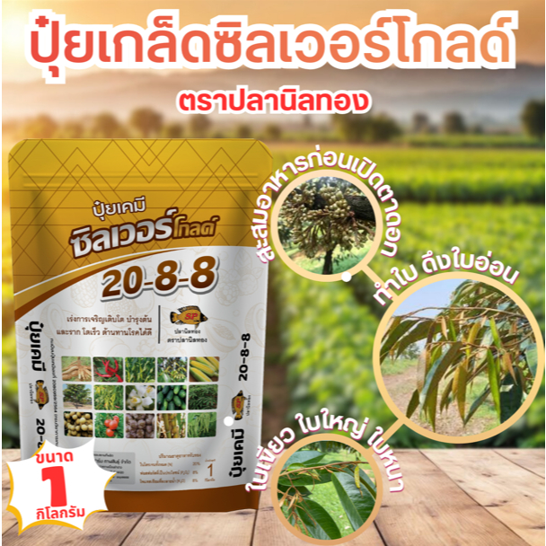 ปลานิลทอง ปุ๋ยเกล็ด 20-8-8 ซิลเวอร์โกลด์ขนาด 1 กิโลกรัม  ผลิตใหม่ส่งตรงจากโรงงาน