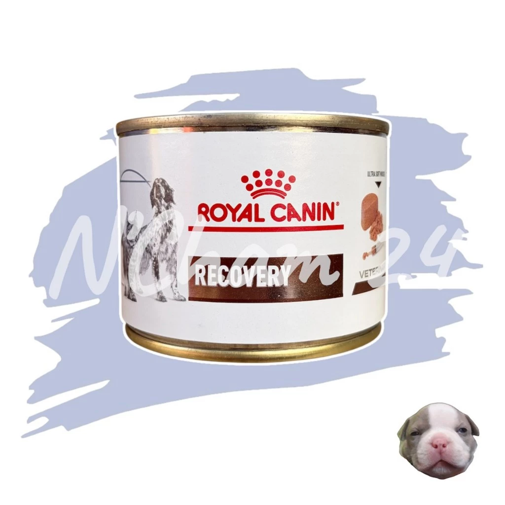 โปรดอ่านก่อนสั่ง Royal Canin Recovery 195g อาหารสัตว์ป่วย หรือพักฟื้น สุนัข และแมว 1 กระป๋อง